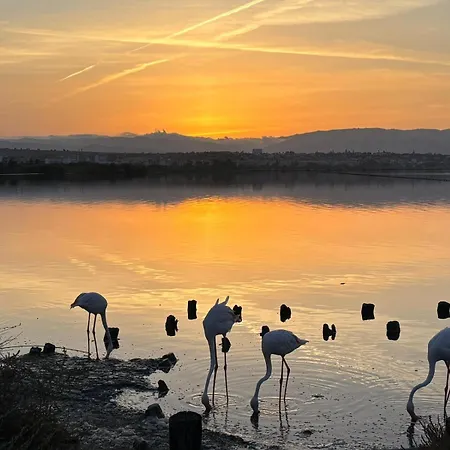 Casa Giorick Prázdninový dům *
